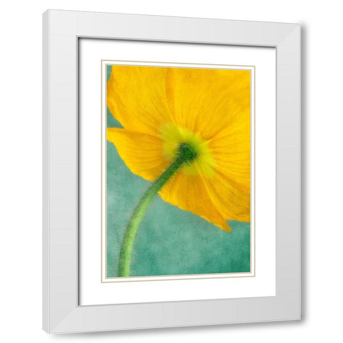 Poppy 5 White Modern Wood Framed Art Print with Double Matting by Poinski, Dianne
