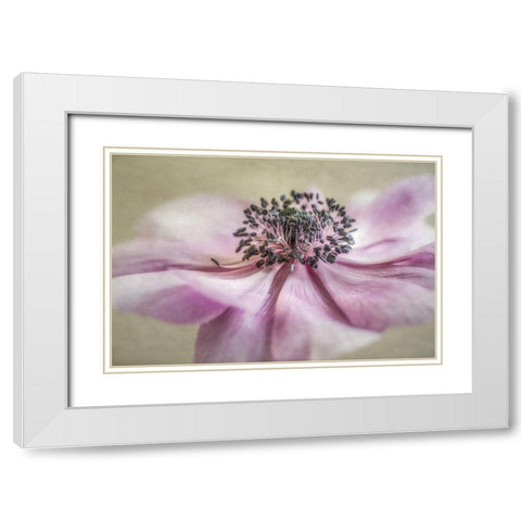 Anemone White Modern Wood Framed Art Print with Double Matting by Poinski, Dianne