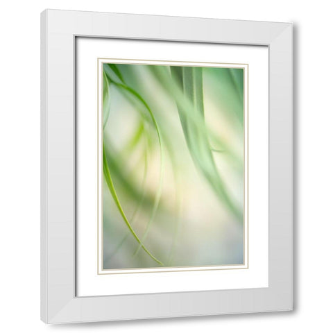 Harmonic 1 White Modern Wood Framed Art Print with Double Matting by Poinski, Dianne