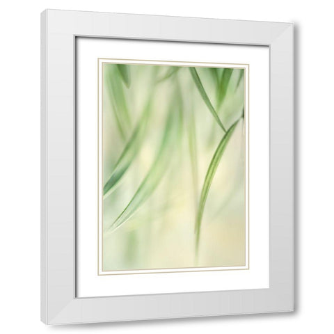 Harmonic 2 White Modern Wood Framed Art Print with Double Matting by Poinski, Dianne