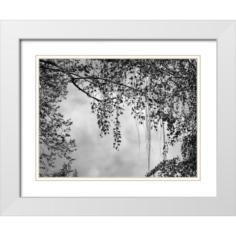 Summer Afternoon BW White Modern Wood Framed Art Print with Double Matting by Poinski, Dianne