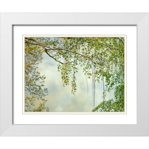 Summer Afternoon White Modern Wood Framed Art Print with Double Matting by Poinski, Dianne