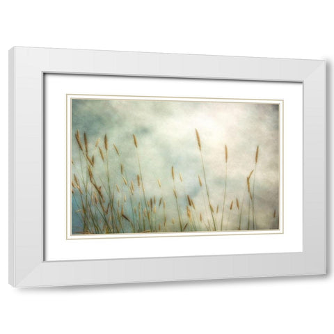 Dune Grass 2 White Modern Wood Framed Art Print with Double Matting by Poinski, Dianne