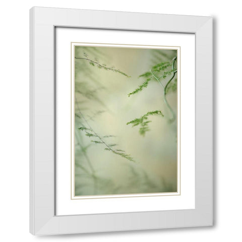 Soft Adagio 1 White Modern Wood Framed Art Print with Double Matting by Poinski, Dianne