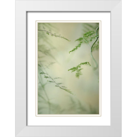 Soft Adagio 1 White Modern Wood Framed Art Print with Double Matting by Poinski, Dianne