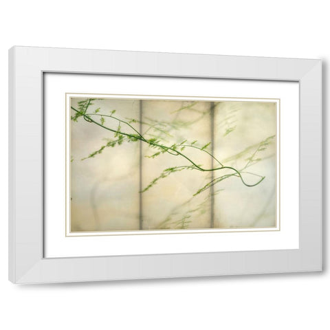 Delicate Light 2 White Modern Wood Framed Art Print with Double Matting by Poinski, Dianne