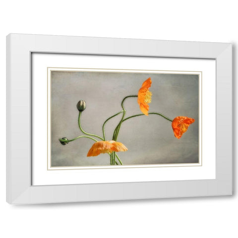 Poppies Dance White Modern Wood Framed Art Print with Double Matting by Poinski, Dianne