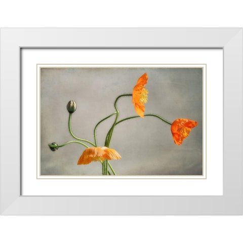 Poppies Dance White Modern Wood Framed Art Print with Double Matting by Poinski, Dianne