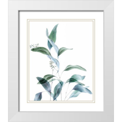 Gentle Botanical 1 White Modern Wood Framed Art Print with Double Matting by Poinski, Dianne