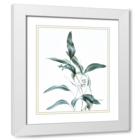Gentle Botanical 2 White Modern Wood Framed Art Print with Double Matting by Poinski, Dianne