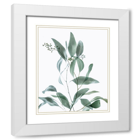 Gentle Botanical 3 White Modern Wood Framed Art Print with Double Matting by Poinski, Dianne