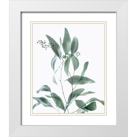 Gentle Botanical 3 White Modern Wood Framed Art Print with Double Matting by Poinski, Dianne