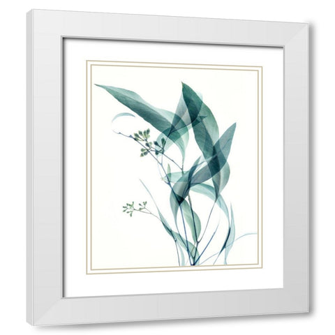 Gentle Botanical 4 White Modern Wood Framed Art Print with Double Matting by Poinski, Dianne