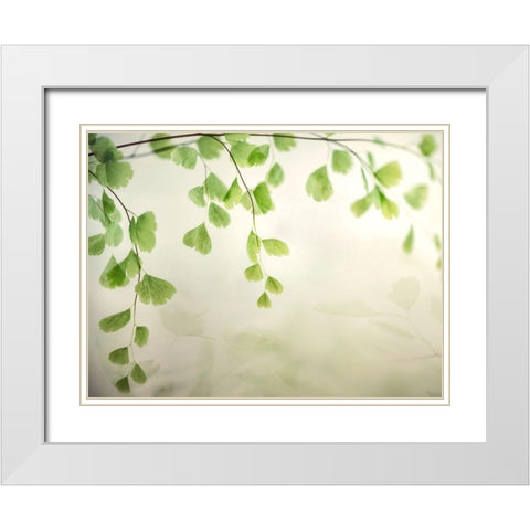 Petit Feuilles 1 White Modern Wood Framed Art Print with Double Matting by Poinski, Dianne