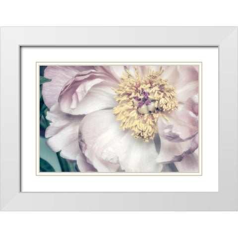Dusty Bloom 1 White Modern Wood Framed Art Print with Double Matting by Poinski, Dianne