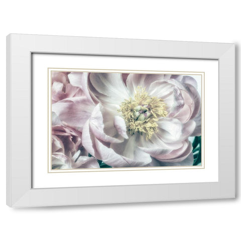 Dusty Bloom 2 White Modern Wood Framed Art Print with Double Matting by Poinski, Dianne
