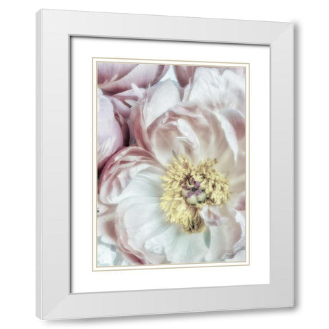 Dusty Bloom 3 White Modern Wood Framed Art Print with Double Matting by Poinski, Dianne