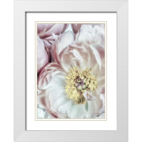 Dusty Bloom 3 White Modern Wood Framed Art Print with Double Matting by Poinski, Dianne