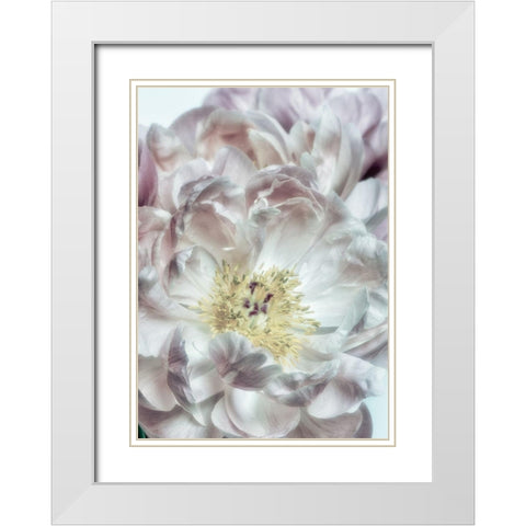 Dusty Bloom 4 White Modern Wood Framed Art Print with Double Matting by Poinski, Dianne