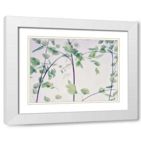 Fallen 2 White Modern Wood Framed Art Print with Double Matting by Poinski, Dianne