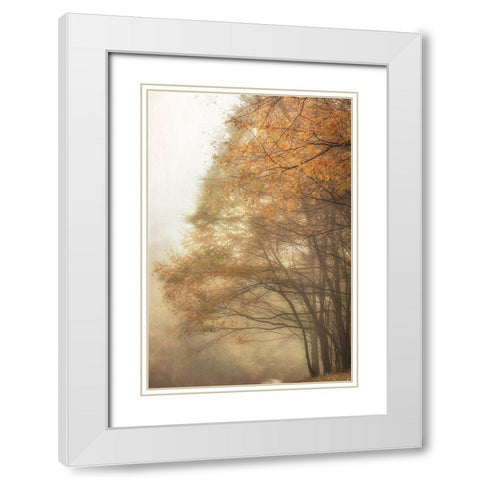 Woods Edge 2 White Modern Wood Framed Art Print with Double Matting by Poinski, Dianne