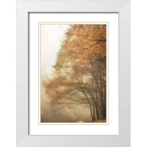 Woods Edge 2 White Modern Wood Framed Art Print with Double Matting by Poinski, Dianne