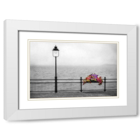 Bouquet in the Mist White Modern Wood Framed Art Print with Double Matting by Poinski, Dianne