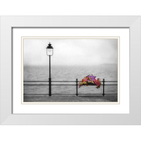 Bouquet in the Mist White Modern Wood Framed Art Print with Double Matting by Poinski, Dianne