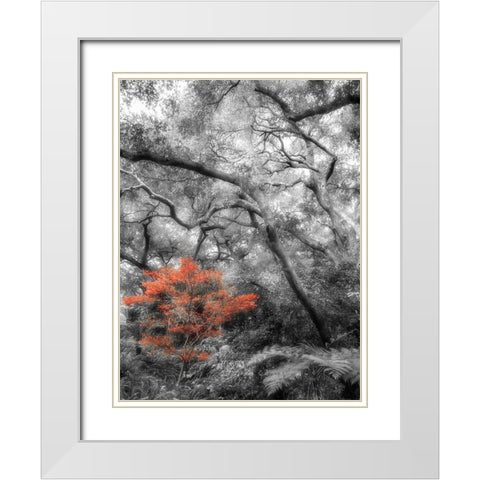 Splash in the Forest White Modern Wood Framed Art Print with Double Matting by Poinski, Dianne