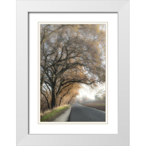 The Road Less Traveled 1 White Modern Wood Framed Art Print with Double Matting by Poinski, Dianne