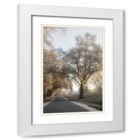 The Road Less Traveled 2 White Modern Wood Framed Art Print with Double Matting by Poinski, Dianne