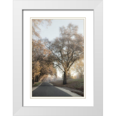 The Road Less Traveled 2 White Modern Wood Framed Art Print with Double Matting by Poinski, Dianne