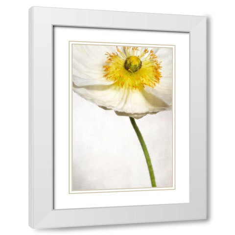 Alabaster Flutter 2 White Modern Wood Framed Art Print with Double Matting by Poinski, Dianne