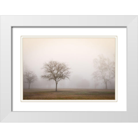 Trees in Fog 2 White Modern Wood Framed Art Print with Double Matting by Poinski, Dianne