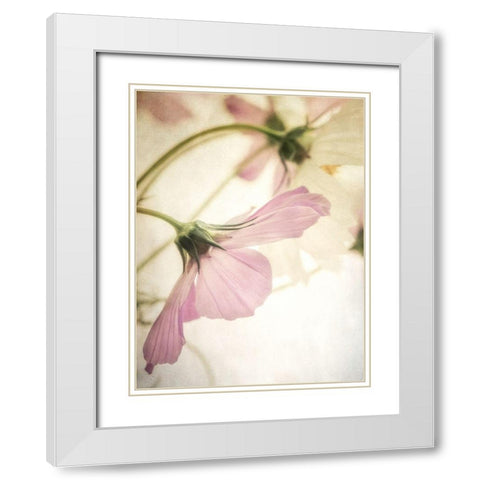 Petite Blush 2 White Modern Wood Framed Art Print with Double Matting by Poinski, Dianne
