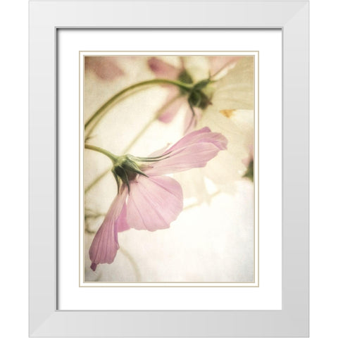 Petite Blush 2 White Modern Wood Framed Art Print with Double Matting by Poinski, Dianne