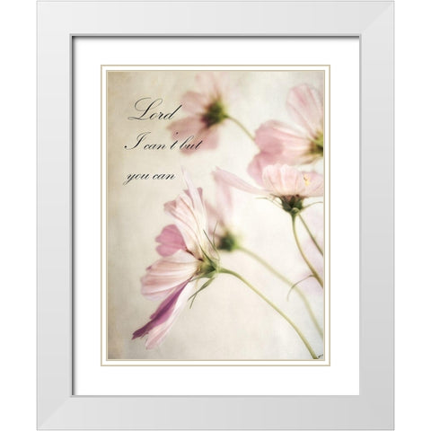 Petite Lord White Modern Wood Framed Art Print with Double Matting by Poinski, Dianne