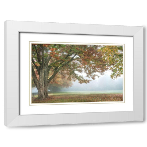 The Meadow 1 White Modern Wood Framed Art Print with Double Matting by Poinski, Dianne