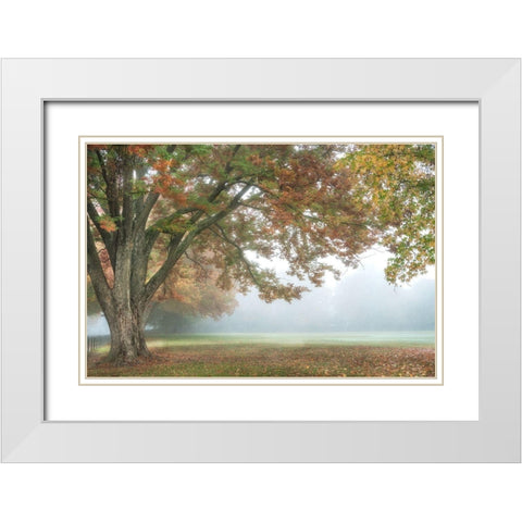 The Meadow 1 White Modern Wood Framed Art Print with Double Matting by Poinski, Dianne