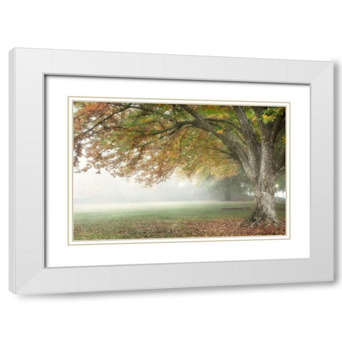 The Meadow 2 White Modern Wood Framed Art Print with Double Matting by Poinski, Dianne