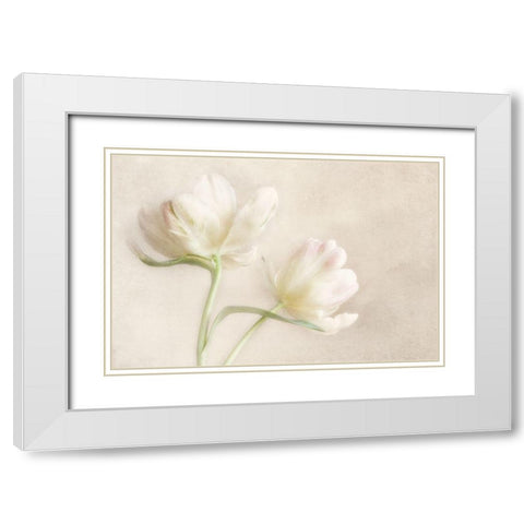 Whispering White II White Modern Wood Framed Art Print with Double Matting by Poinski, Dianne