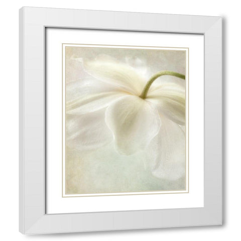 Spring Bonnet II White Modern Wood Framed Art Print with Double Matting by Poinski, Dianne