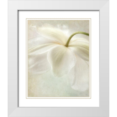 Spring Bonnet II White Modern Wood Framed Art Print with Double Matting by Poinski, Dianne