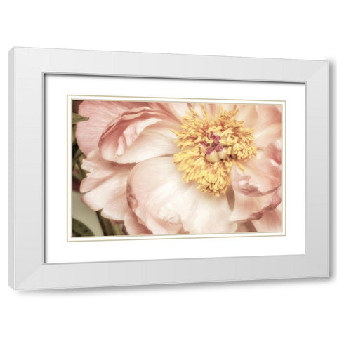 Vincinal Bloom 1 White Modern Wood Framed Art Print with Double Matting by Poinski, Dianne