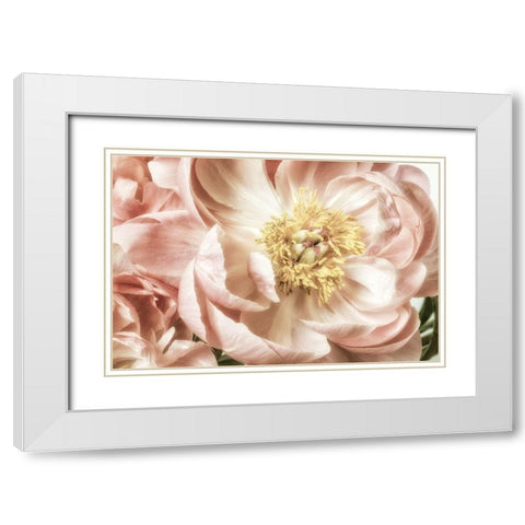 Vincinal Bloom 2 White Modern Wood Framed Art Print with Double Matting by Poinski, Dianne