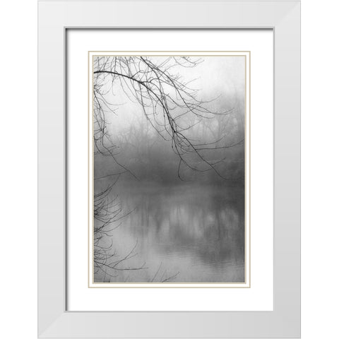 Misty Pond 1 BW White Modern Wood Framed Art Print with Double Matting by Poinski, Dianne