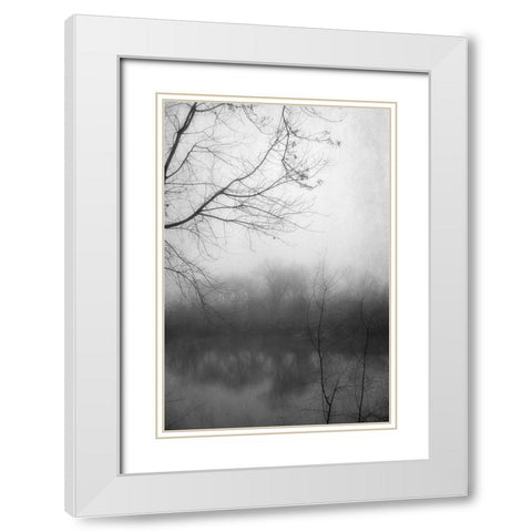 Misty Pond 2 BW White Modern Wood Framed Art Print with Double Matting by Poinski, Dianne