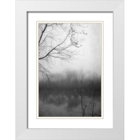 Misty Pond 2 BW White Modern Wood Framed Art Print with Double Matting by Poinski, Dianne