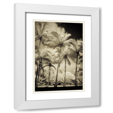 White Palms 1 White Modern Wood Framed Art Print with Double Matting by Poinski, Dianne