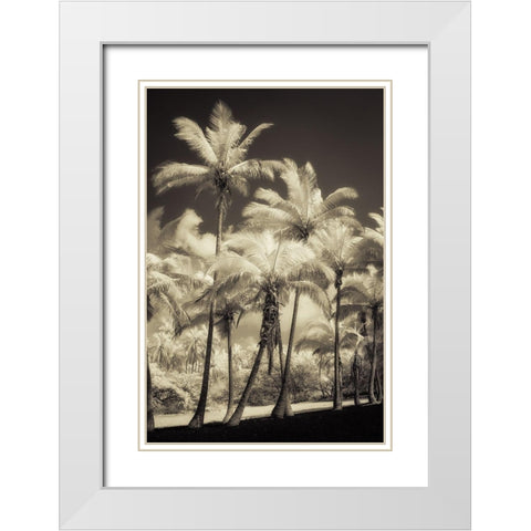White Palms 2 White Modern Wood Framed Art Print with Double Matting by Poinski, Dianne